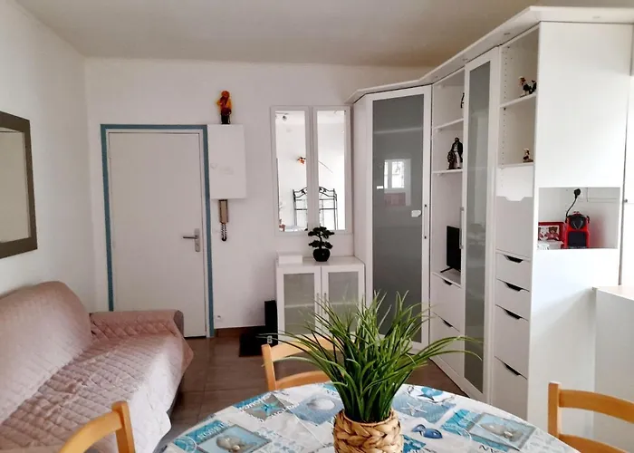 アパート T2 A Pres Du Centre Et De La Avec Parking Et Terrasse - Fr-1-319-465 *